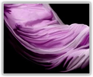 Dry Silk